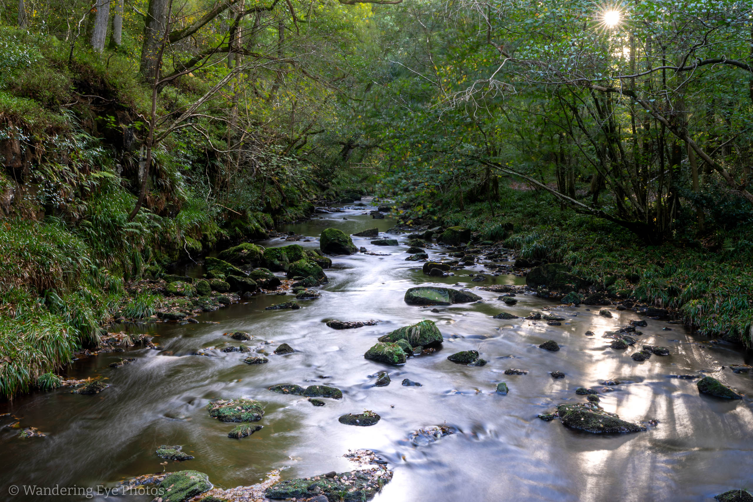 10.13 16.43.13   DSC08179